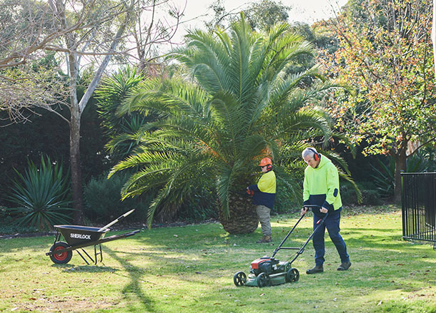 A person mows the grass while another person prunes a tree