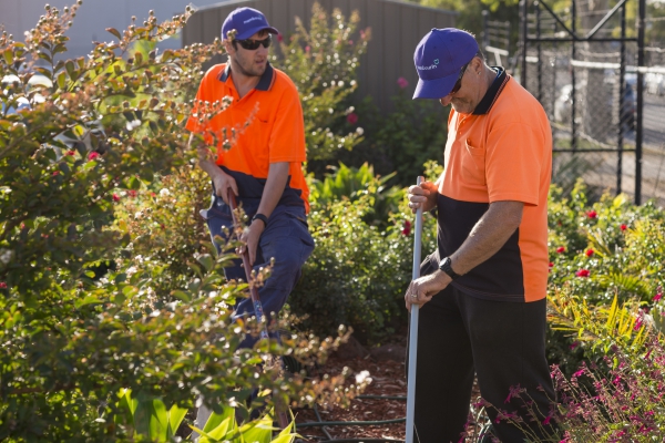 This is an image of two men from Mambourin's Gardening team. One is in his twenties and the other in his fifties. Both are wearing high vis and purple Mambourin caps. They are working in a garden, at what looks like pruning and raking.