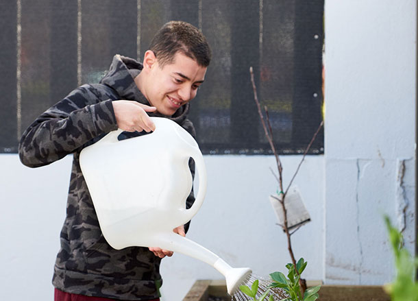 A man uses a plastic watering can to water a raised garden bed